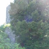 Burgruine_Karlstein_040.JPG