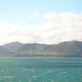 New-Zealand-2007-744.JPG