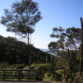 New-Zealand-2007-995.JPG