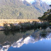 New-Zealand-2007-513.JPG