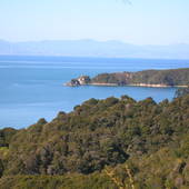 New-Zealand-2007-139.JPG