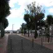 New-Zealand-2007-1462.JPG