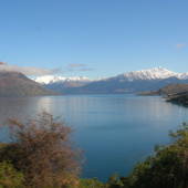 New-Zealand-2007-380.JPG